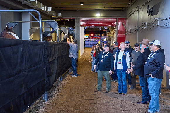 W2005038_Processed_14MP