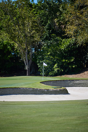J5208695_Processed_14MP