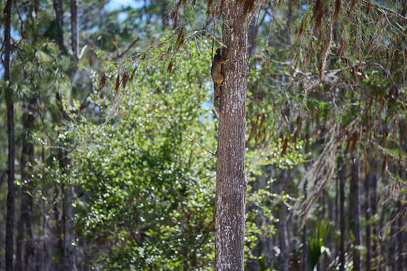 J5208723_Processed_14MP