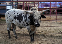 WNFR_2023_GS_13