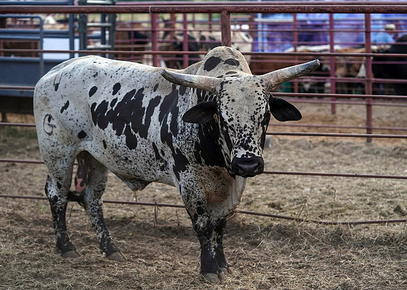 WNFR_2023_GS_13