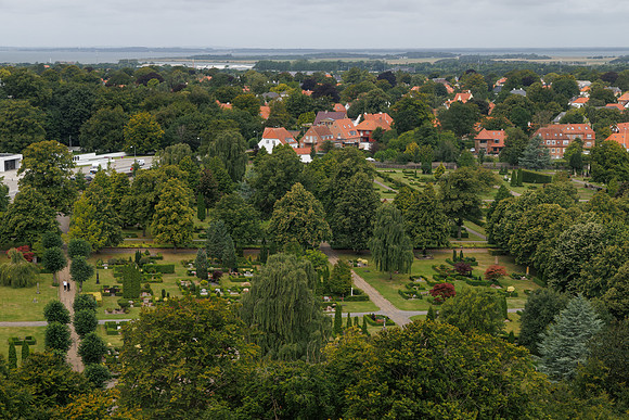 G2008784