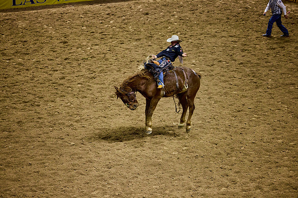 J5059422_Processed_14MP