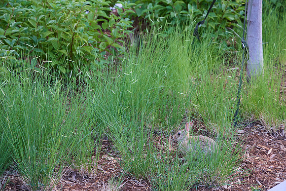 G1000390_Processed_14MP