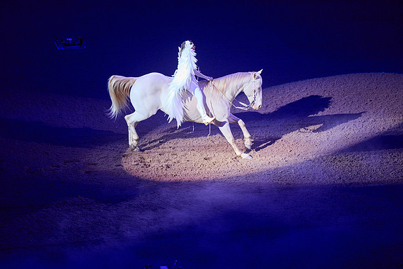 J5059622_Processed_14MP