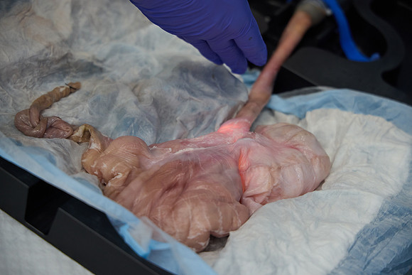 J5049331_Processed_14MP