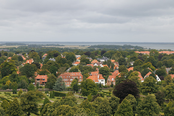 G2008786
