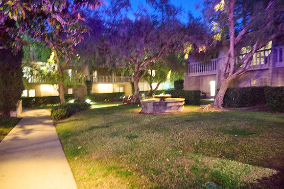 J5206709_Processed_14MP