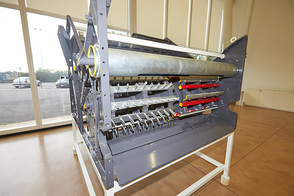 J1264183_6MP