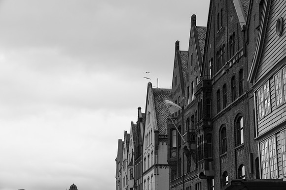 G2005065
